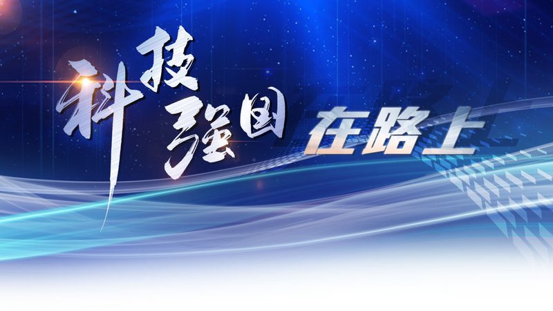智能客服外包平台：北京市场对比解析